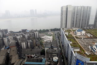 湖南省株洲市芦淞区天气，株洲市芦淞区明天天气预报