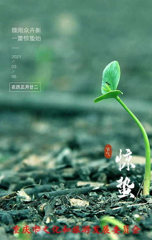 春风送暖的意思 春风送暖的解释
