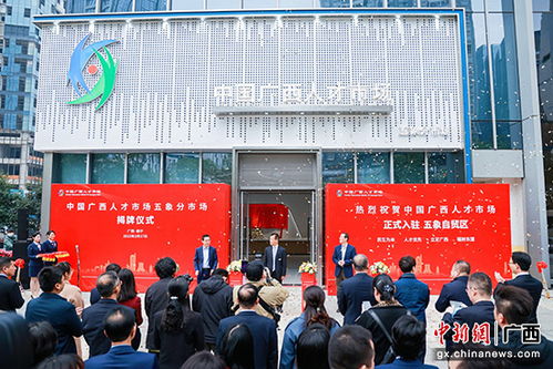 广西区人才市场，广西区人才市场档案管理电话