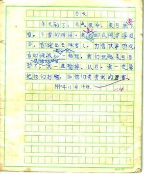 小学二年级的作文大全，小学二年级的作文大全300字