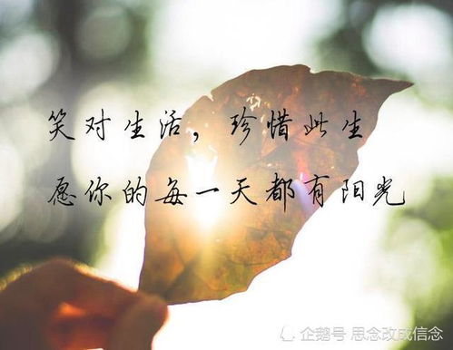 仅此而已是什么意思啊?