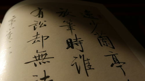 言简意赅意思