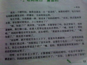 关于真情或温暖的作文400字左右