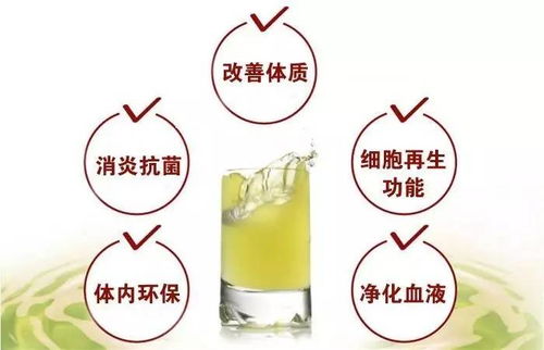 酵素的十大功效与作用