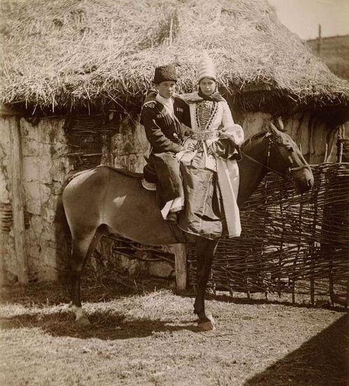 切尔克斯人的分布