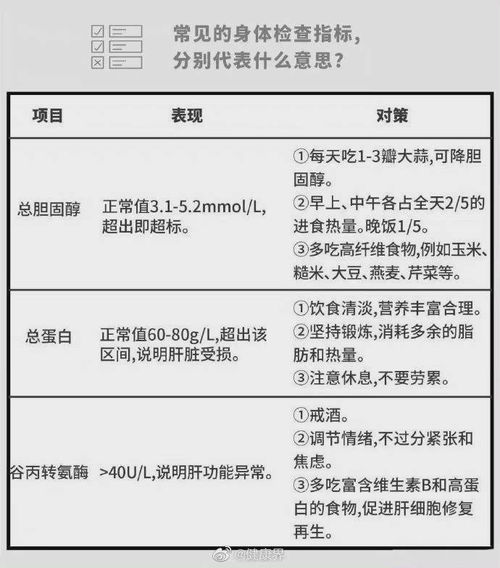 怎样写检查报告