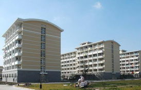 上海新侨职业技术学院，上海新侨职业技术学院学费