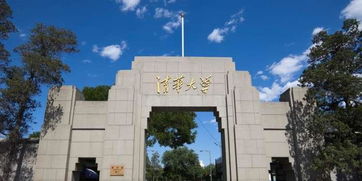 清华北大出国留学率