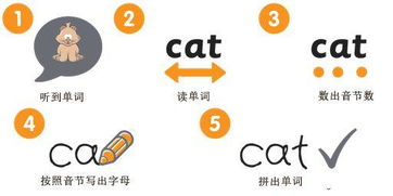 “母语”用英语怎么说呀?