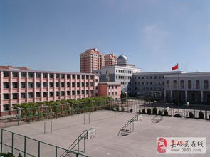 2022酒钢三中升学率