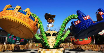 上海欢乐谷官方网站，上海欢乐谷官方网站入口