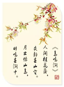 鸟鸣涧的意思翻译