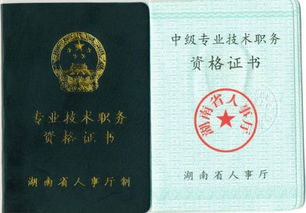 教师初级职称个人工作总结
