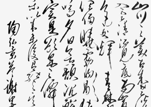 答谢中书书翻译