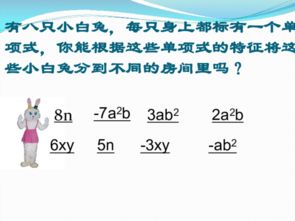 同类项是什么