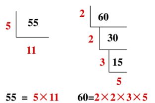 质因数是什么意思?