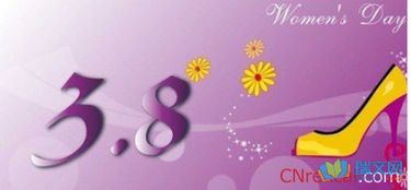 3月8日妇女节活动方案(精选8篇)