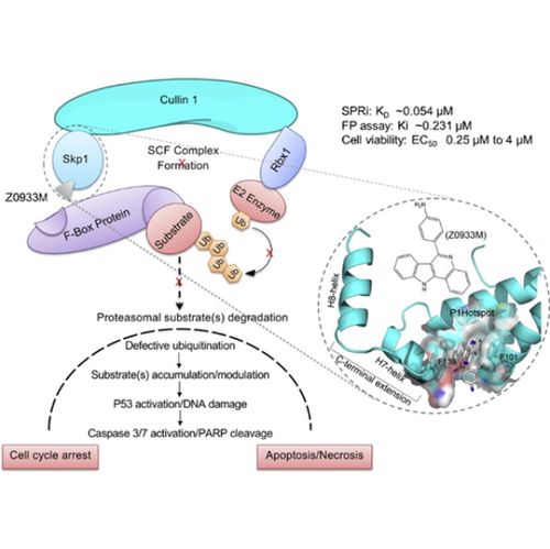 表达的作用有哪些?