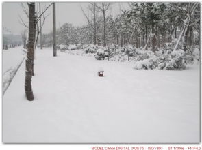 为什么北方下暴雪就没什么事,而南方下暴雪就很严重?