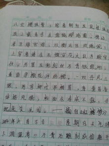 作文积累的好句好段