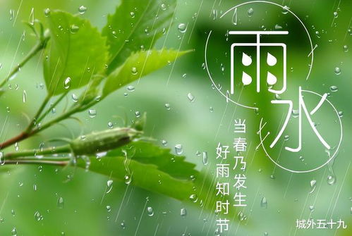 描写雨水的古诗