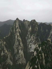 华山有什么特点?