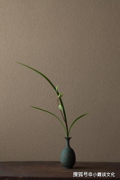 茶语人生经典句子