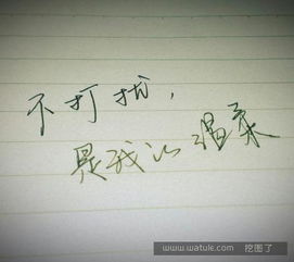看了让人想流泪的伤感句子