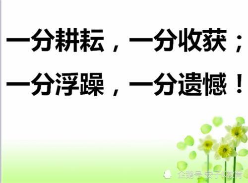 对工作的感悟和见解