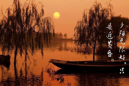 夕阳无限好下一句是什么