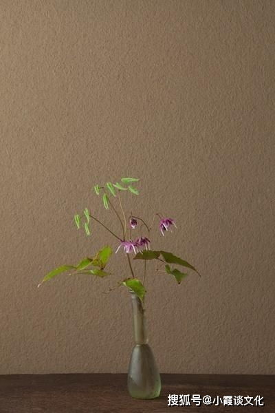 关于喝茶赏花的朋友圈说说 喝茶感悟人生的句子