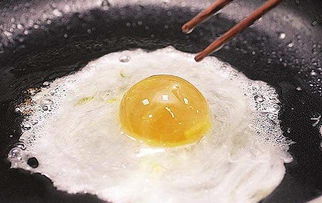 人工蛋和正常鸡蛋怎么区分啊?