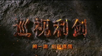 巡视利剑观后感