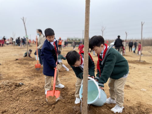 3.12植树节祝福语大合集36条大全
