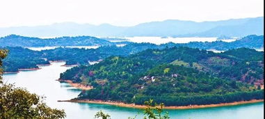 河源天气预报10天