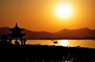 夕阳无限好的下一句诗是什么?