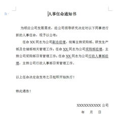 公司任命书参考