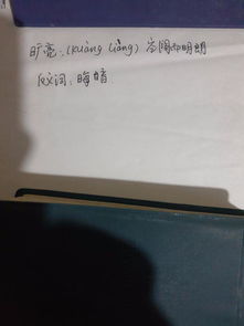 旷亮是什么意思
