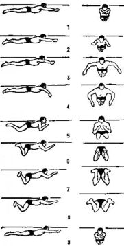 蛙泳口诀24个字