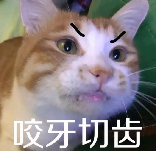 什么东西咬牙切齿脑筋急转弯答案