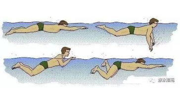 蛙泳手势分解四步口诀