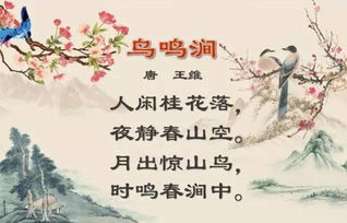 鸟鸣涧的翻译，鸟鸣涧的翻译简短