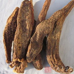 肉苁蓉的吃法和功效