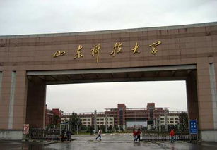 山东科技大学就业信息网，山东科技大学就业信息网网址