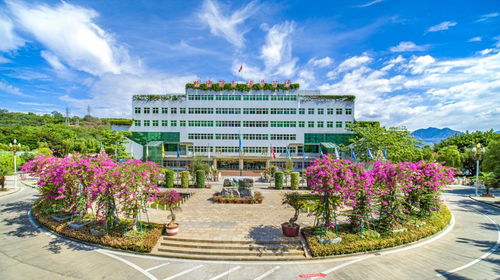 攀枝花学院补考成绩怎么查