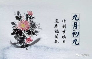 关于重阳节的古诗四句