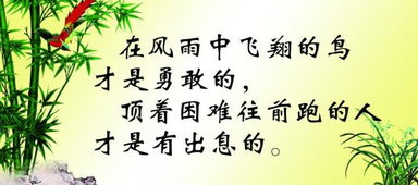 关于志向奋斗的名言警句