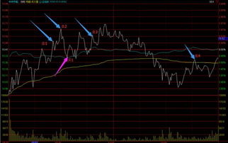 股票交易基本程序，股票交易基本程序包括