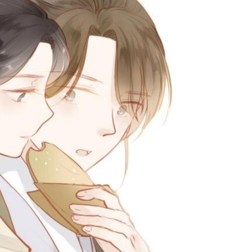 人面桃花两相宜道长cp叫什么