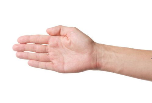 伸出你的手，伸出你的手用英语怎么说